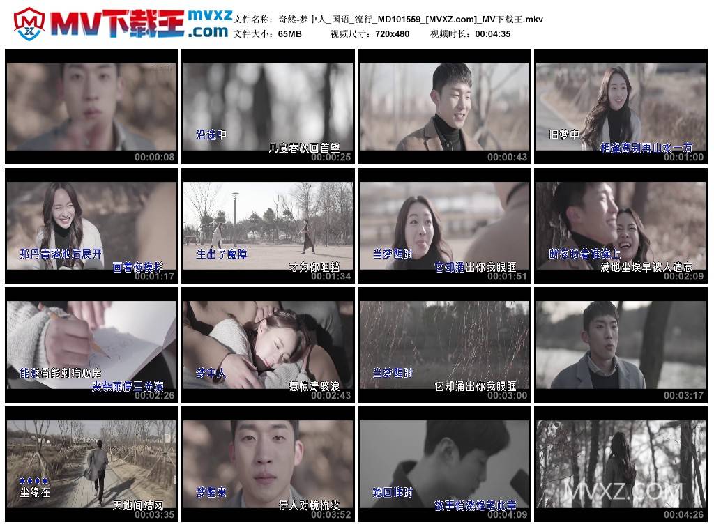 奇然-梦中人_国语_流行_MD101559